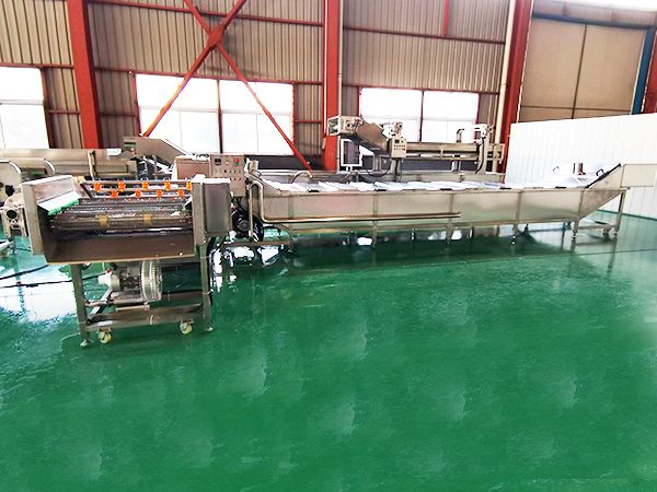 凈菜果蔬清洗機(jī) (20).jpg